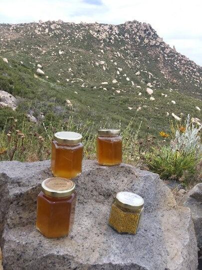 APIS Bee Venom Cream